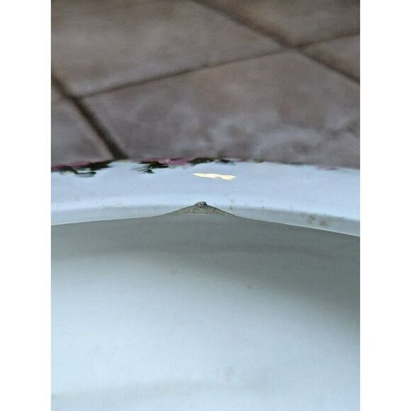 Max Roesler 14" Large Serving Bowl - Marked RMR Germany 5561/5 - Early 1900s - Picture 4 of 8